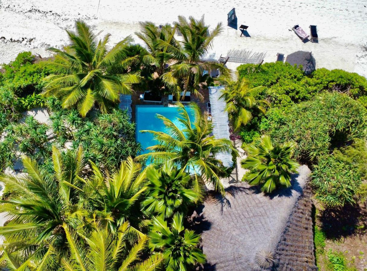 The Seles Boutique 3* Gazija