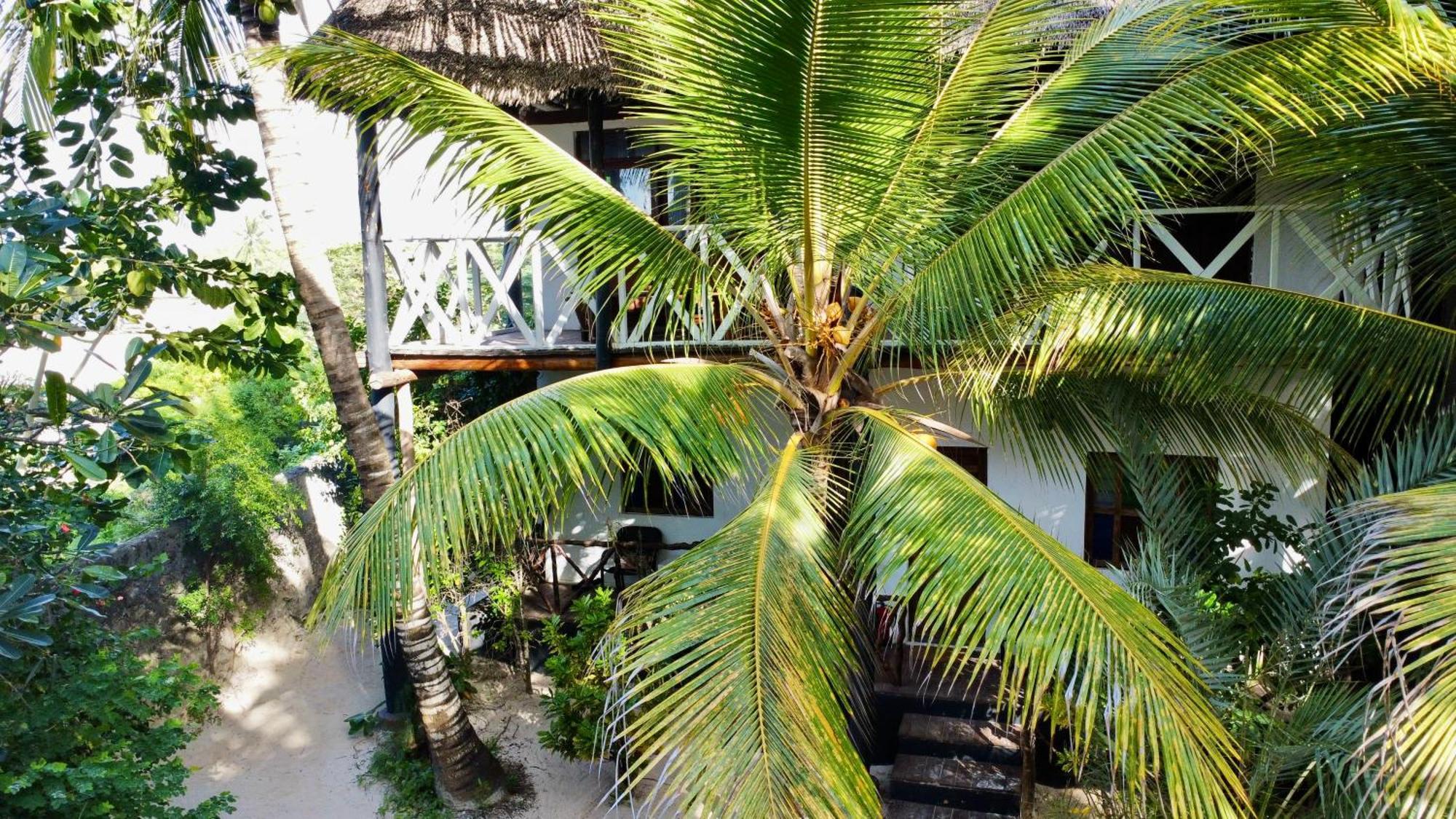 Hotel The Seles Boutique Gazija